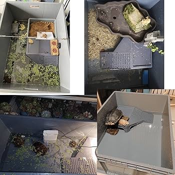 Amazon.co.jp: 爬虫類 飼育ケース、タートルタンク、亀 水槽 大型