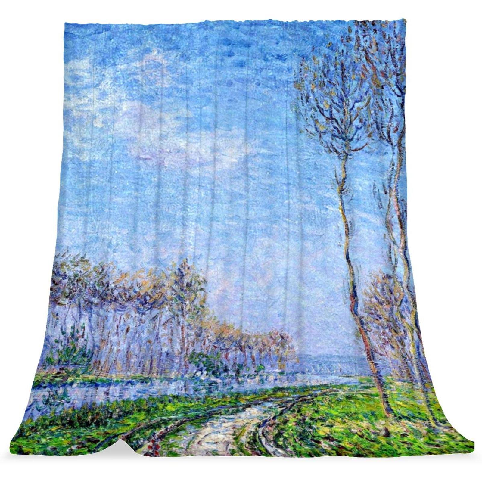 Couvre-lit doux et moelleux TBOUOBT : couverture de lit d'art au design peinture à l'huile