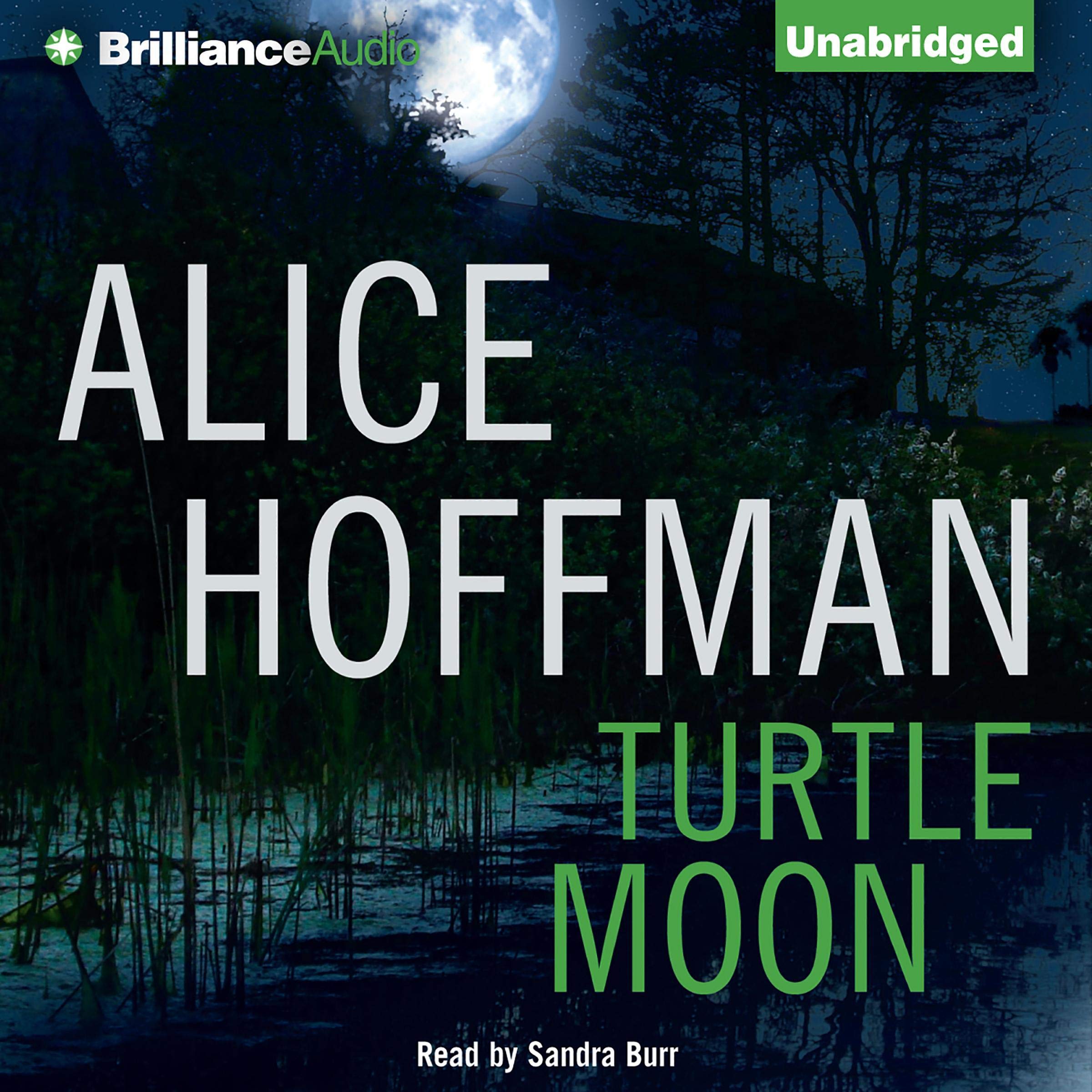 Cover art for Turtle Moon