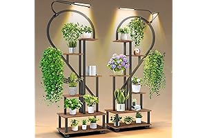 Elegant 6 Tier Heart Ladder Plant Stand with Grow Light