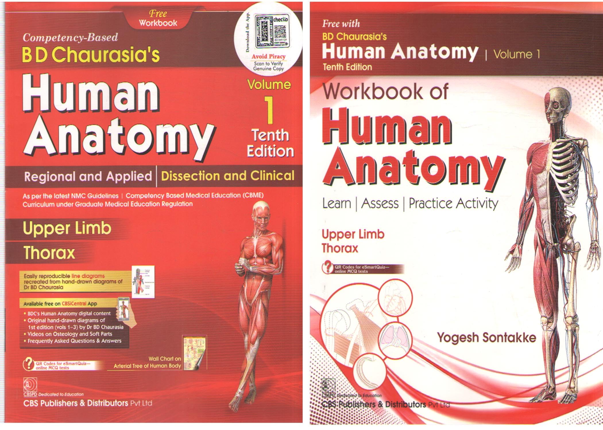 Amazon.in: Buy BD CHAURASIA'S HUMAN ANATOMY WITH DUE PART (UPPER