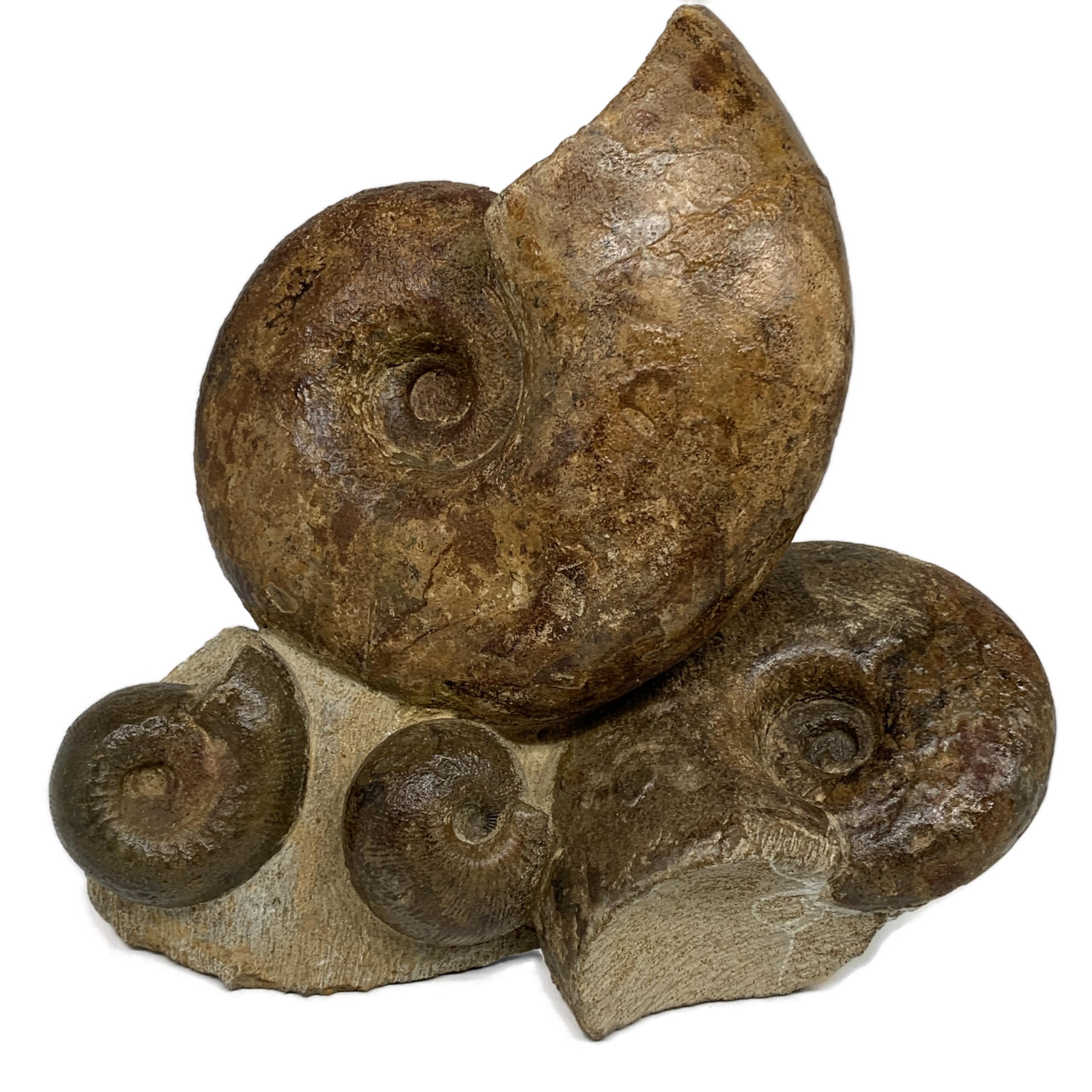 WatanGems 19.1 lbs, 12