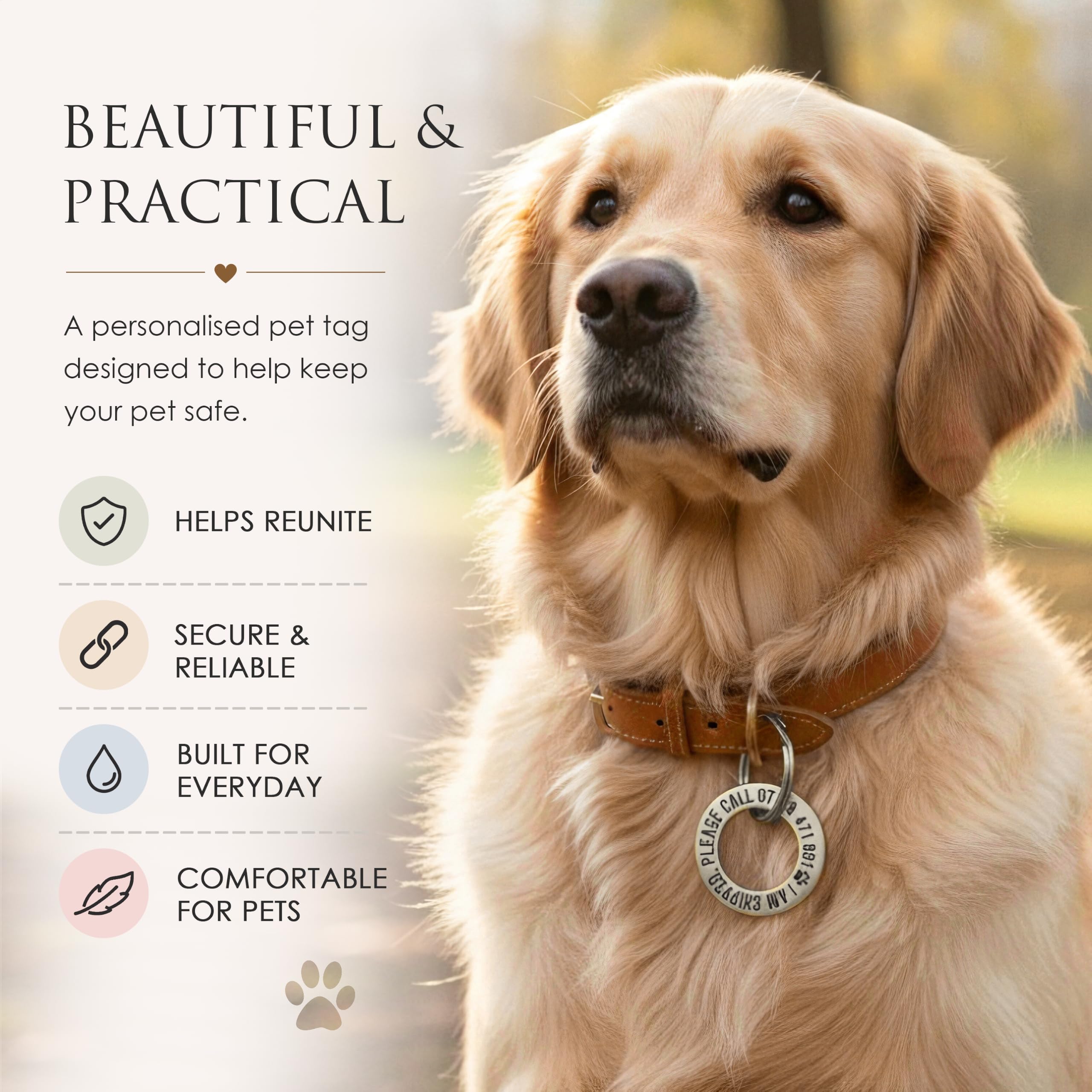 Médaille personnalisée pour animaux de compagnie – Bague d'identification gravée profonde en acier inoxydable (25 mm, taille S) – Médaille nom durable pour collier de chien ou chat – Fabriqué