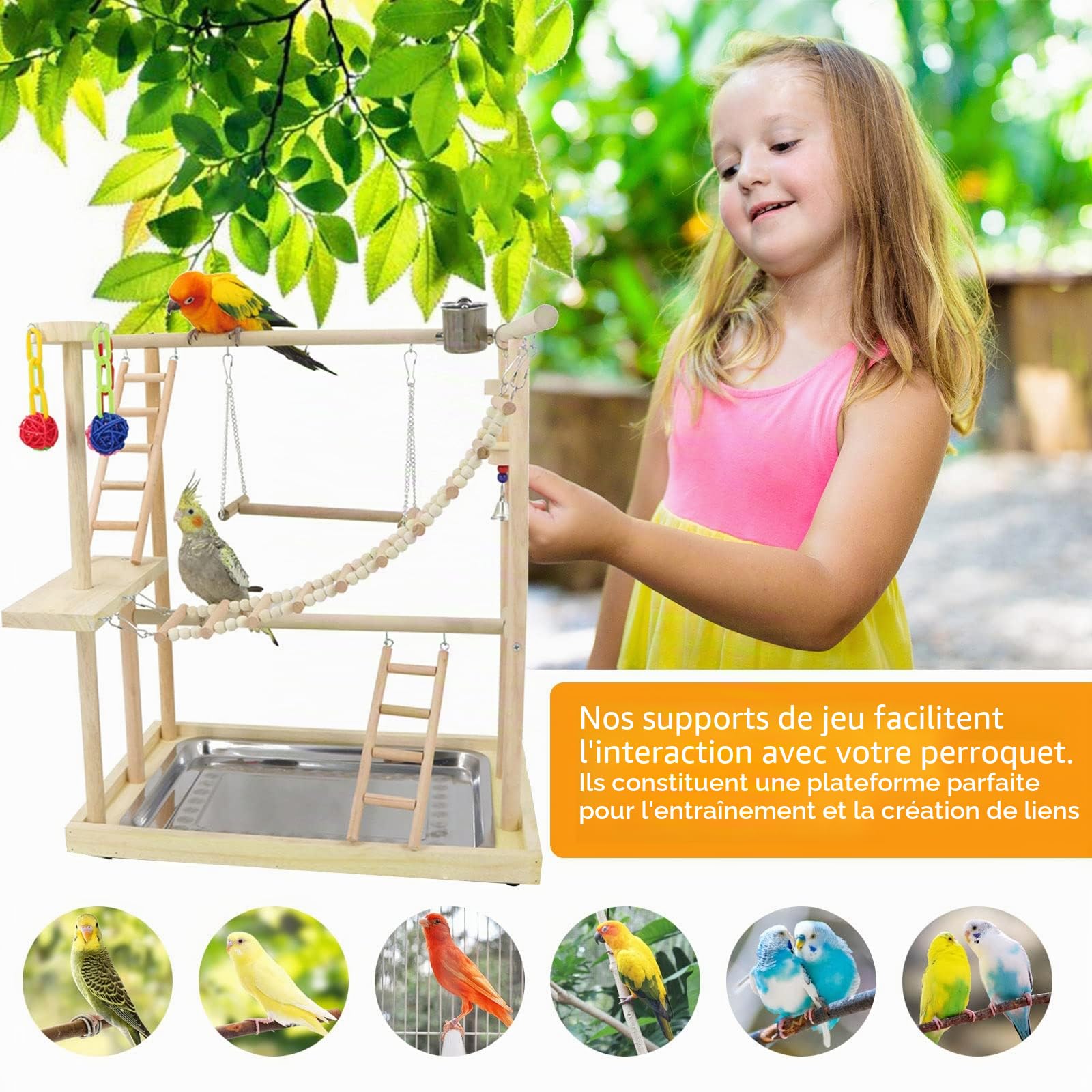 Joyeux grand ensemble d'aire de jeux pour perruches Bol de nourriture en acier, balançoire, échelle en bois, jouet coloré en rotin, plateau en acier