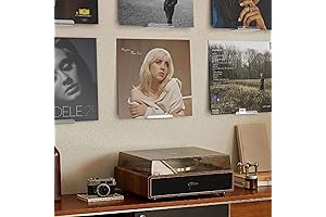 Vinyl Record Shelf Display and Wall Mount (8 Pack, Clear Vinyl Holder)