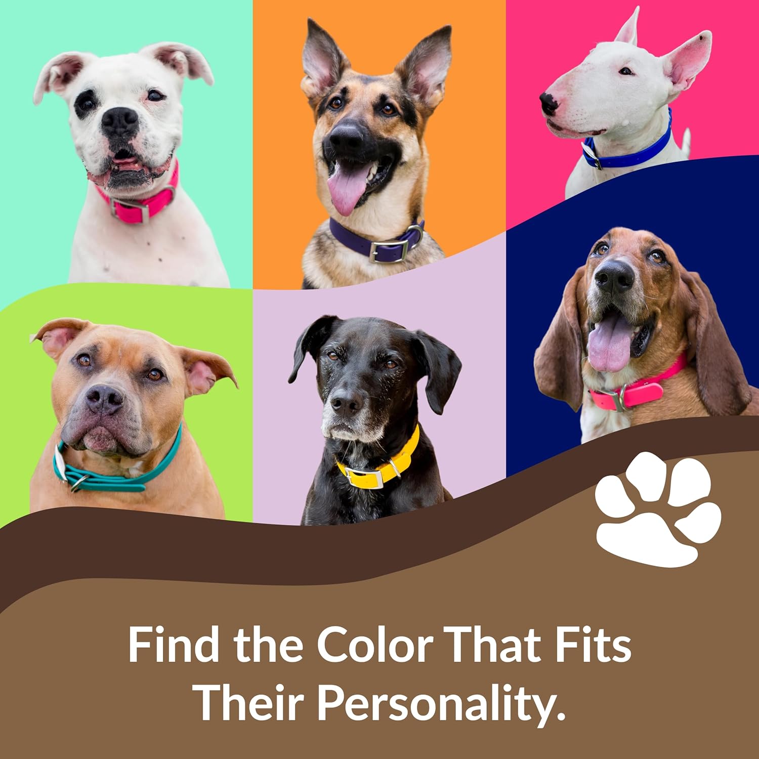 dogIDs Personalized Dog Collar – Custom Waterproof Soft-Grip Biothane with Laser-Engraved Nameplate, Durable & Odor-Resistant, USA Made | Teal, 1 in x 22 in (Fits Neck Sizes 20-24 in)