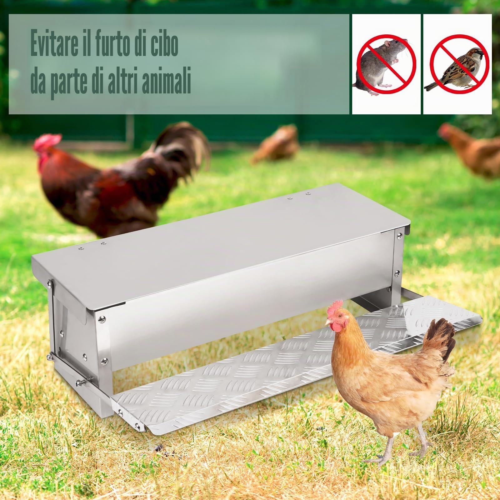 Mangiatoia per Polli a Pedale, Mangiatoia Automatica per Polli da 5 Kg Senza Rifiuti per Pollame con Coperchio Resistente Alle Intemperie e Pala per Galline, Anatre e Polli