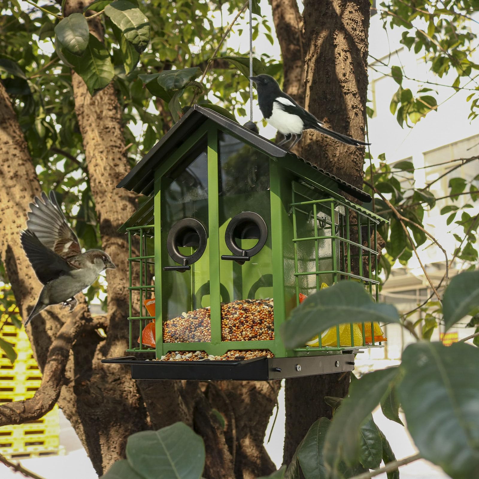 Comederos para pájaros estables y Resistentes a la Intemperie, duraderos, comederos para pájaros Colgantes de Metal, Suministro para observación de Aves en Patio Trasero, Colgante para Exteriores