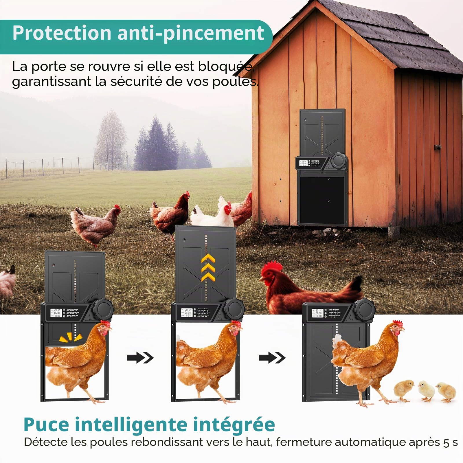 Porte Automatique pour Poulailler à PilesMinuterie | Minuterie, Fonction Anti-pincement, Écran LCD Étanche