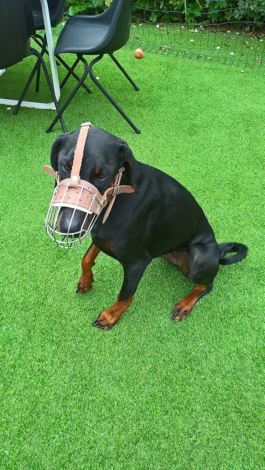 L&J Pets Uk Metall Maulkorb für Deutsche Schäferhunde & ähnliche große Hunde – Sicher, Bequem & Verstellbar (Silber/Braun, T1)