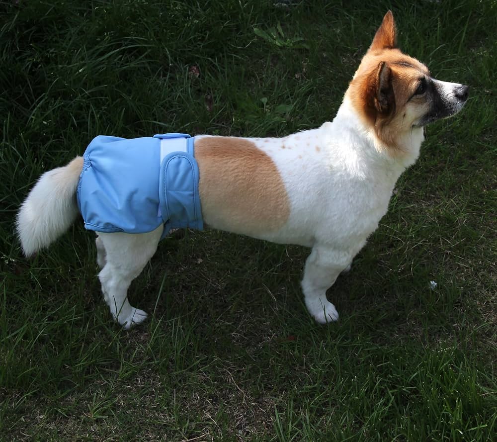 Heteroseksual jinsiy aloqa video