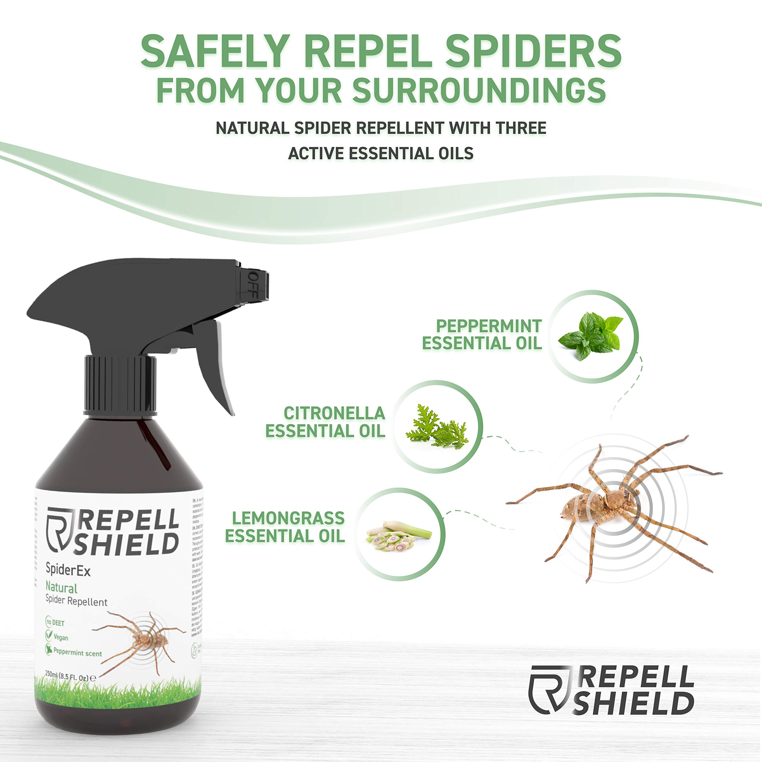 Buy RepellShield Spider Repellent Spray Ideal Anti Spider Spray