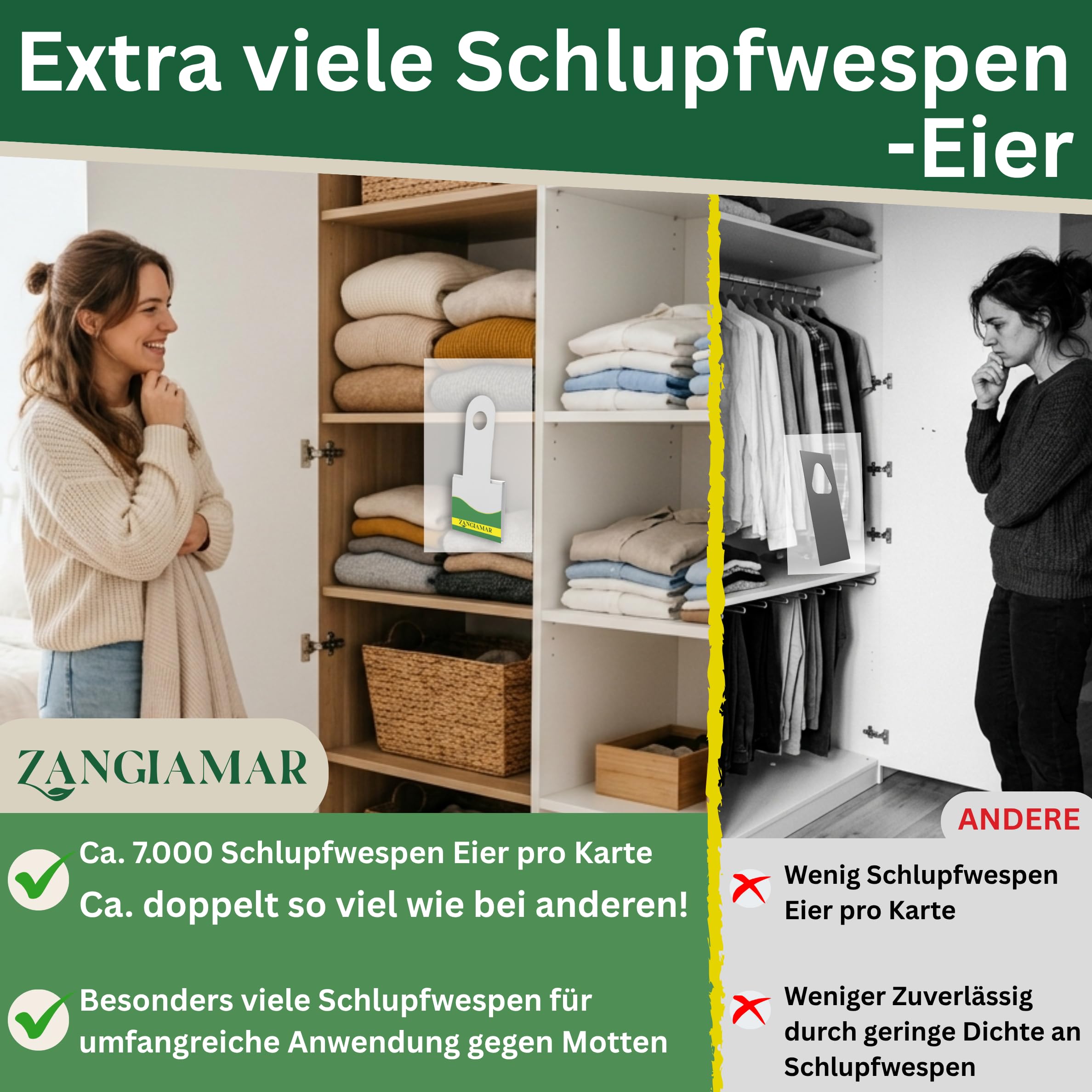 Schlupfwespen gegen Kleidermotten - XXL Menge, je 7000 Eier, 12 Karten | Schütze, was dir wichtig ist - frei von Motten und Sorgen. | Nur für kurze Zeit: 10 % Rabatt-Coupon