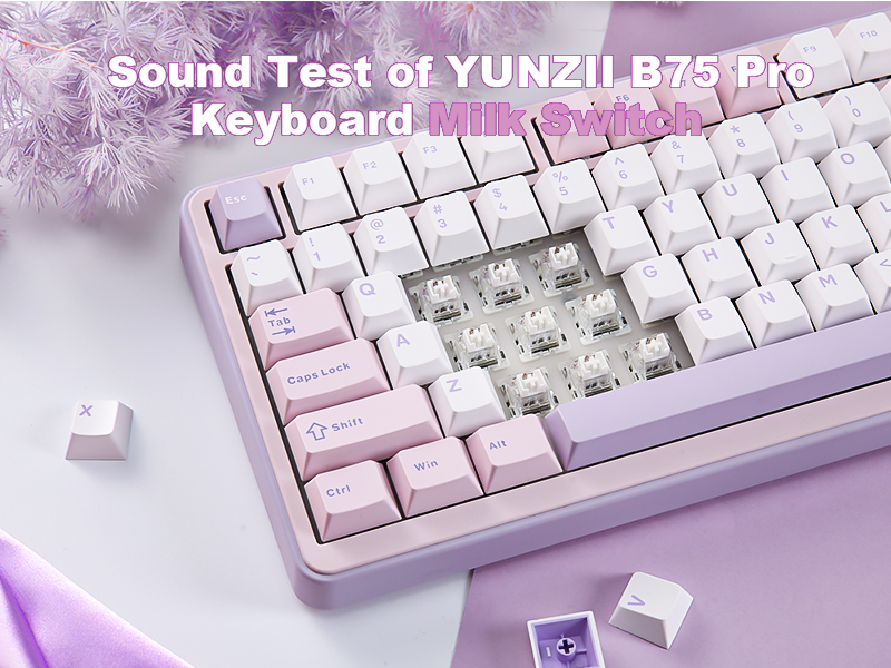 YUNZII B75 PRO 75%ピンク　ココアクリームV2スイッチ Amazon.com: YUNZII B75 PRO 75% Wireless Mechanical Keyboard