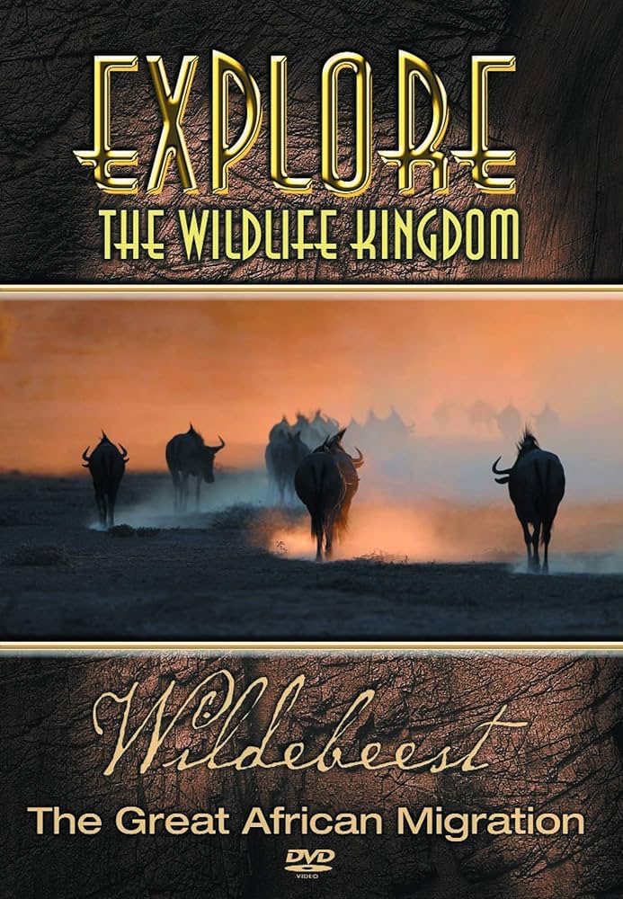 Amazon.com: Explore the Wildlife Kingdom: Wildebeest - The
