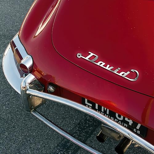 Emblema de automóvil personalizado para regalo para los amantes de los automóviles, regalos personalizados de Vechículo, letrero de carrera, letra