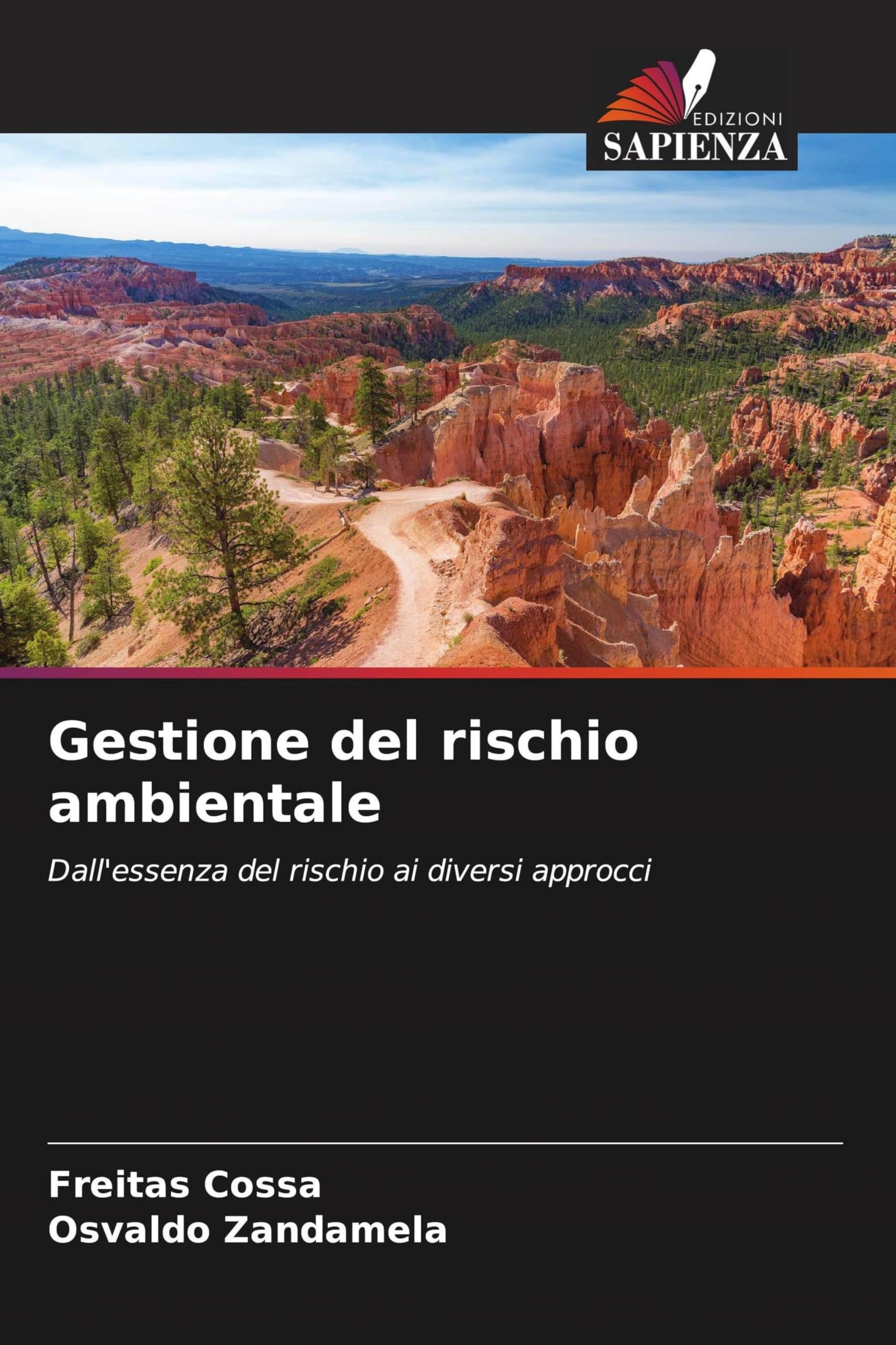 Gestione del rischio ambientale: Dall'essenza del rischio ai diversi approcci