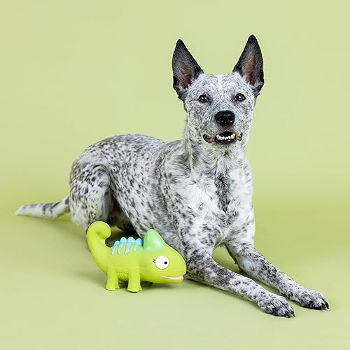 Miniatura 3 de Fringe Studio "ONE in A CHA-Million - Juguete de látex para perros, colección Pet Shop (366033)