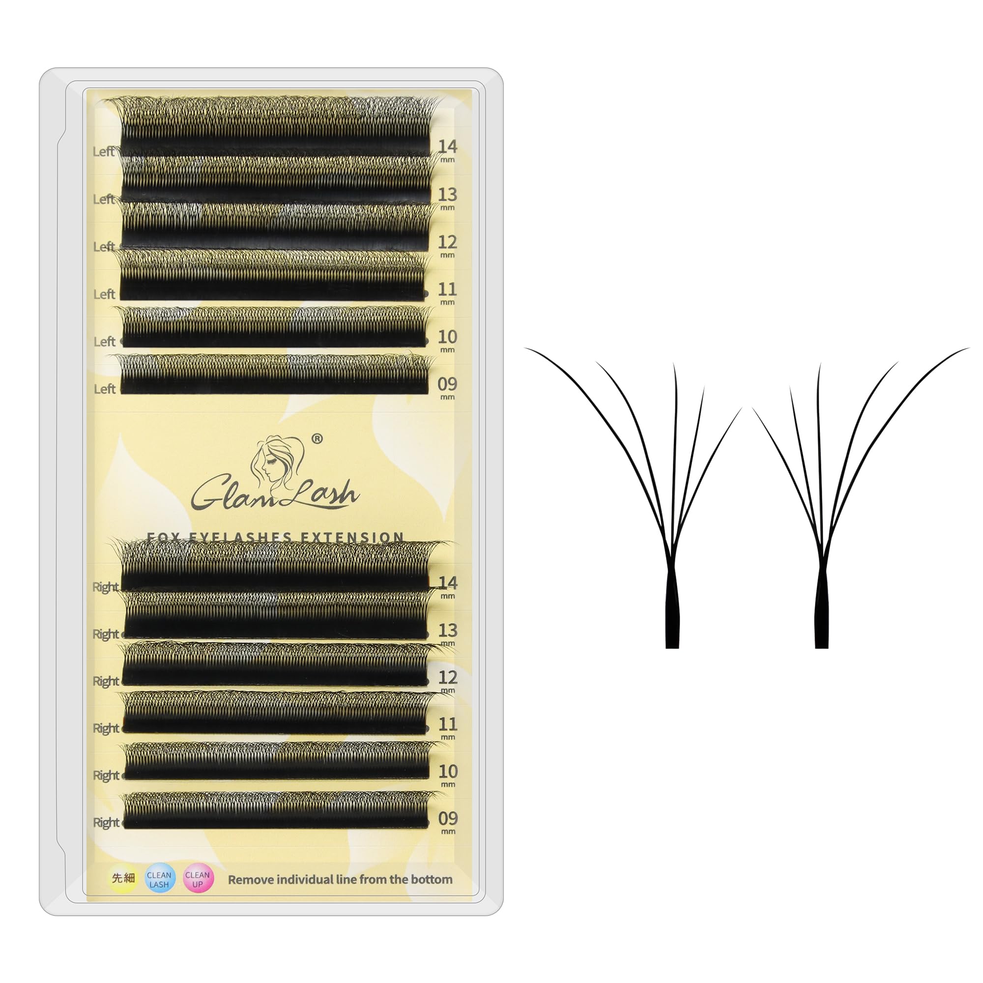 GLAMLASH Extension Ciglia 5D Volume Russo Forma W Professionali a Ventaglio Premontate per Uso in Salon(5D,0.07,C,9-14mm,Fox)