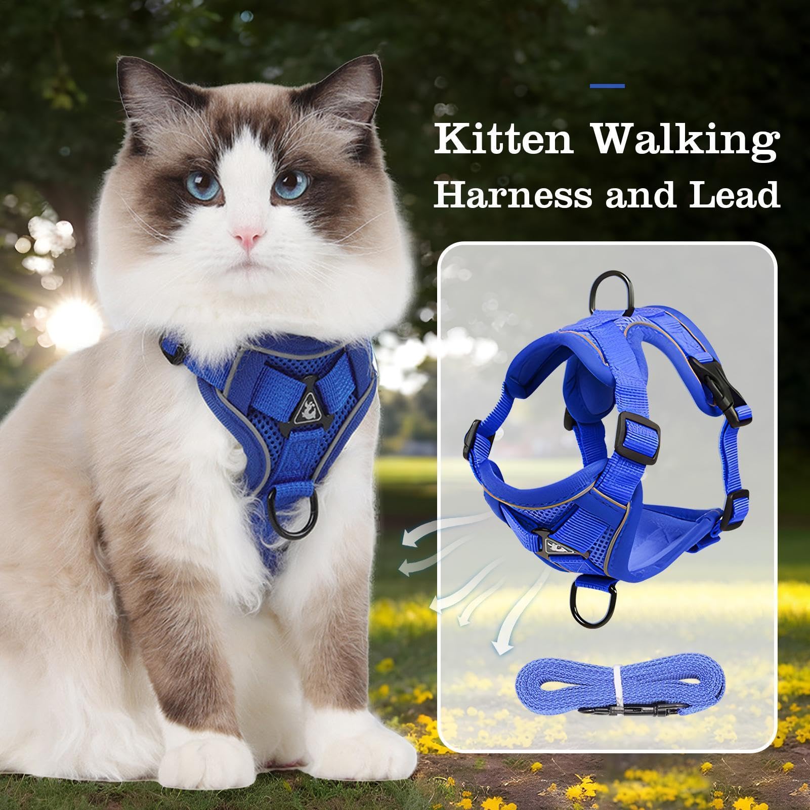 Pettorina Per Gatto Gilet In Mesh Traspirante Antifuga Regolabile Con | Guinzaglio Robusto Per Outdoor Passeggiate Avventura Quotidiana