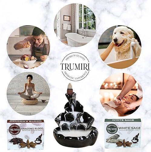 Miniatura 3 de Conos de incienso de reflujo  Paquete combinado de 20 conos de incienso en cascada  10 dragones sangre + 10 salvia blanca  Conos de incienso  Conos