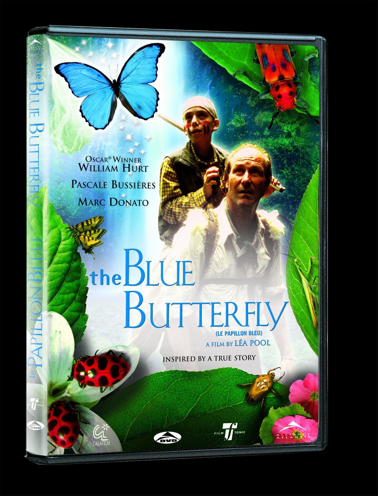 Blue Butterfly (Bilingual) [DVD]