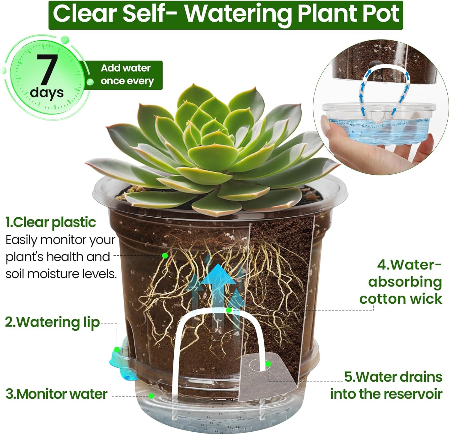 MIXC 12 Packs 5 Inch Self Watering Pots for Indoor Plants - Clear Nursery Plant Pots with Drainage, Deep Visible Reservoir - Flower Planter Outdoor with Wicking Rope - Image 2