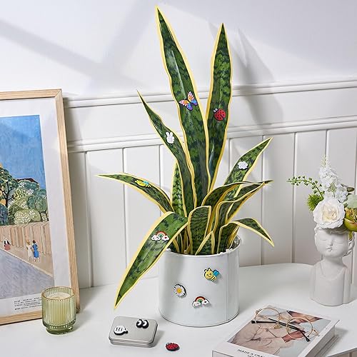 Miniatura 5 de 10 imanes para plantas en maceta, ojos magnéticos, abejas, arco iris, decoración facial para plantas, regalo divertido para amantes de las plantas,