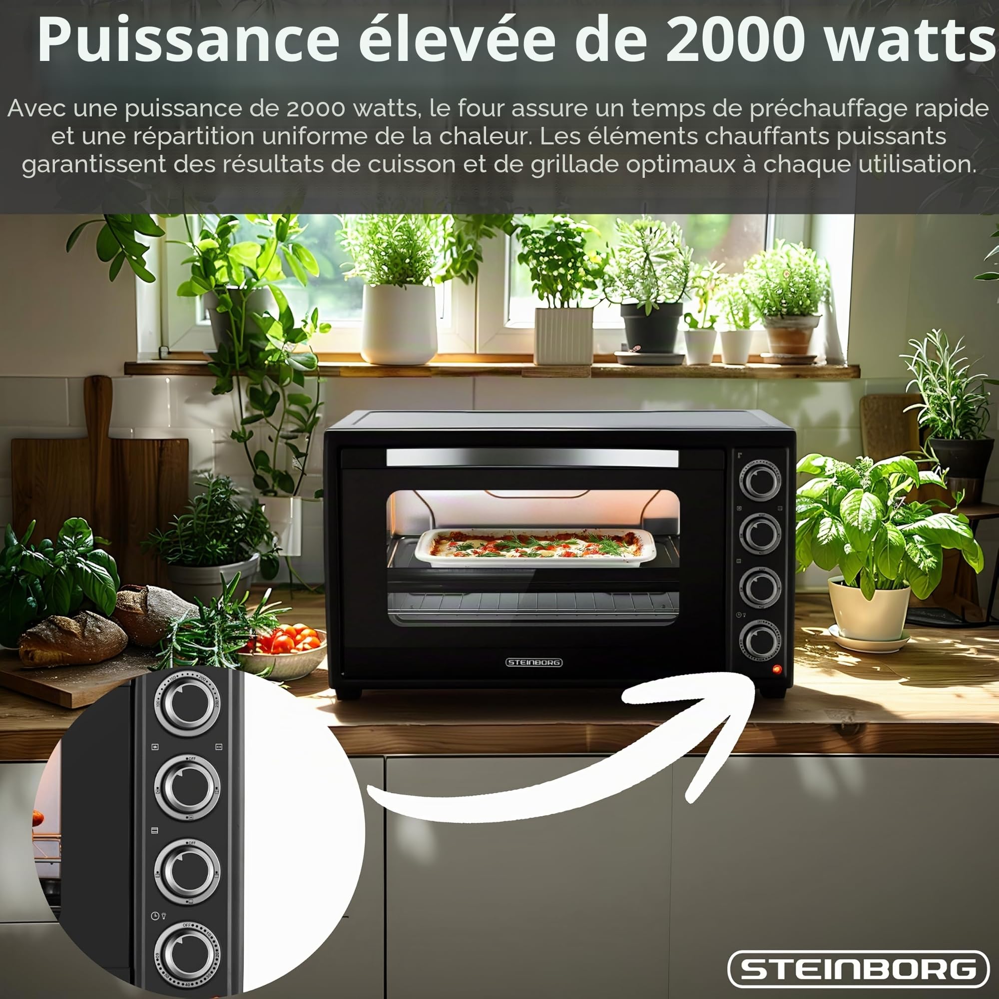 Steinborg® Mini four à pizza 3 en 1 3 en 1 avec chaleur tournante et tournebroche, 2000 W, taille XXL, 100 à 230 °C, minuterie 60 min, chaleur de voûte/sole et convection, four à pizza 3 en 1, avec