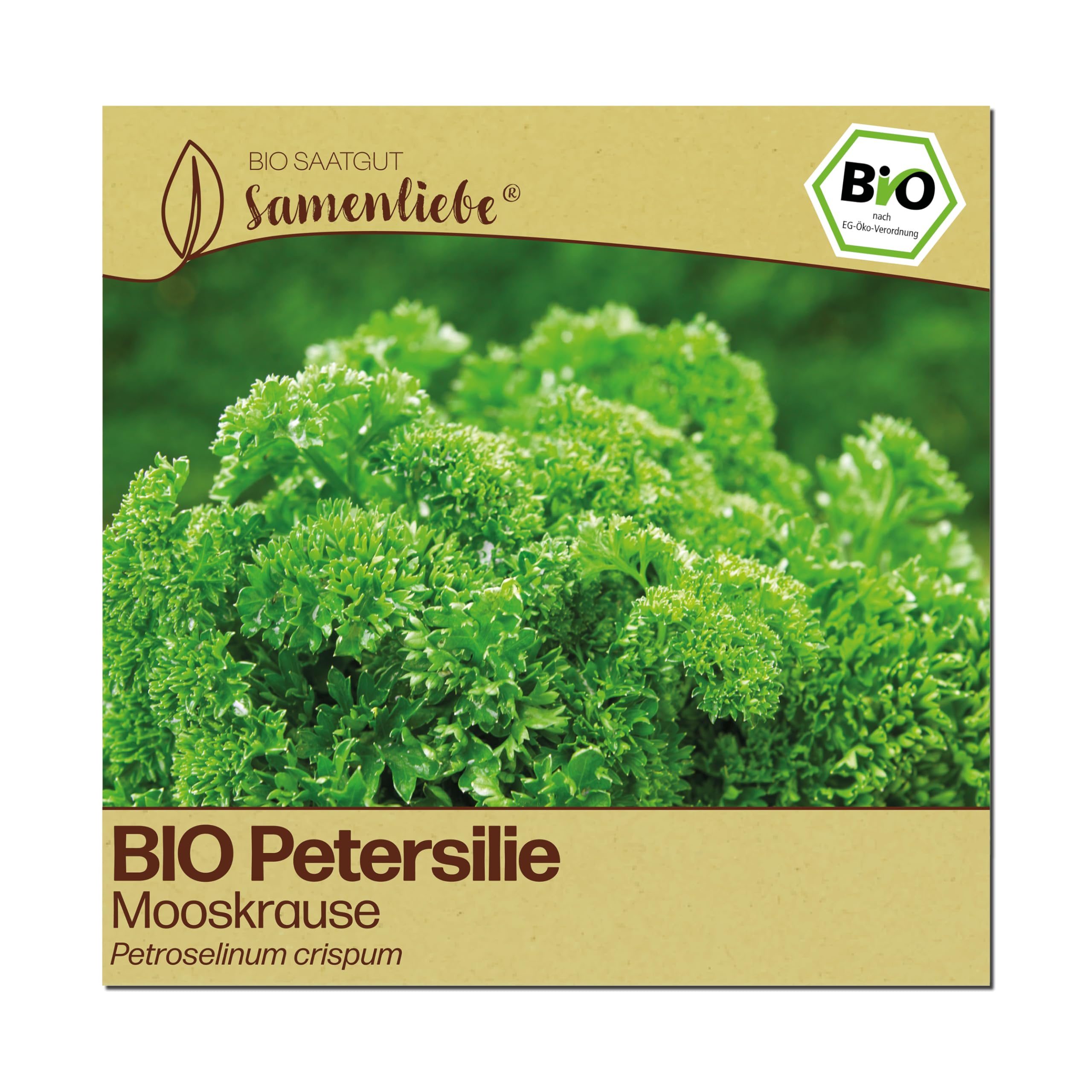 Samenliebe BIO Petersilie Samen | Mooskrause - winterhart & gekraust - samenfestes BIO Saatgut