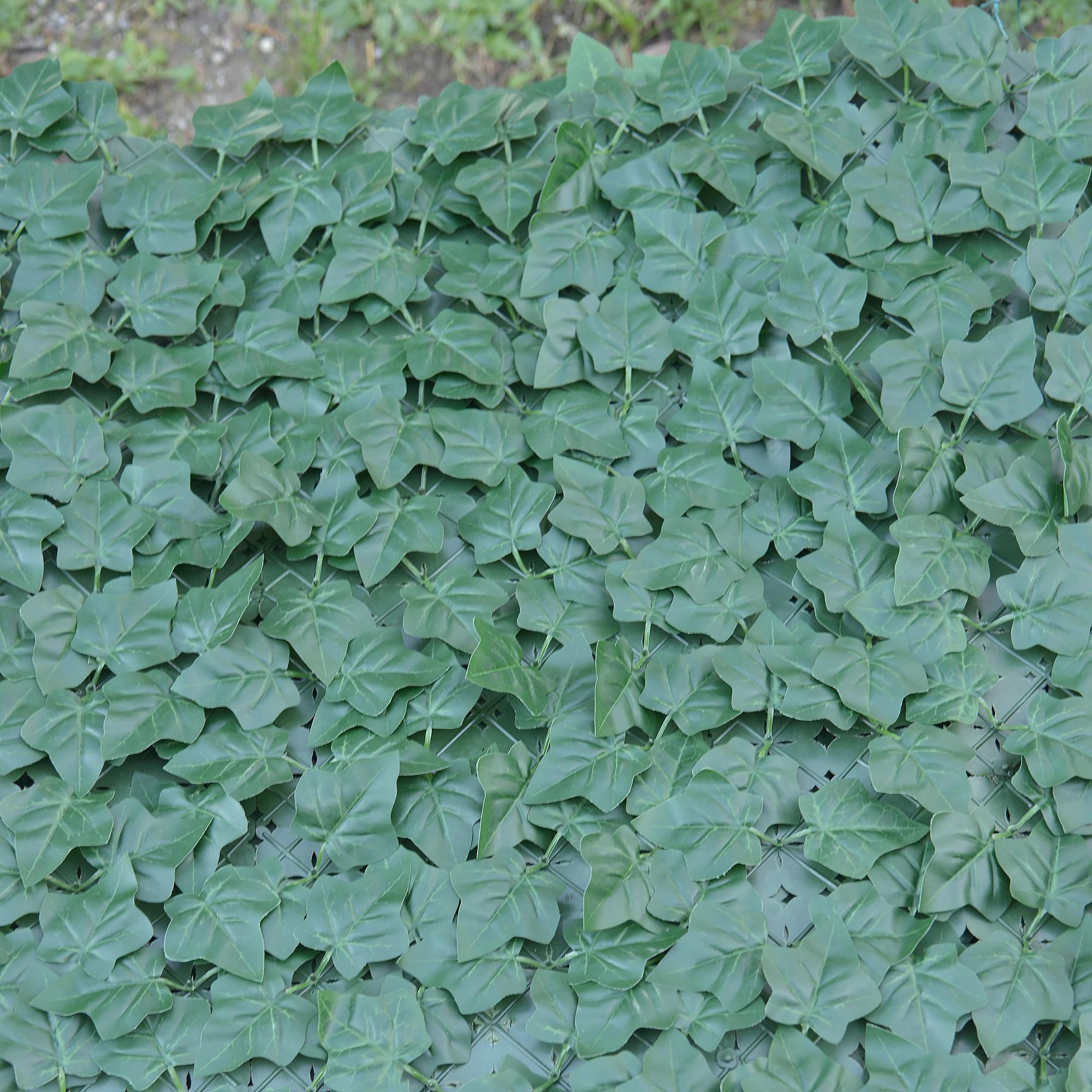 TENAX Divy Hedera Plus 100x300 cm Verde, Siepe Sintetica con Foglie in Polietilene Tipo Edera a Schermatura Totale per Balconi, Giardini e Recinzioni