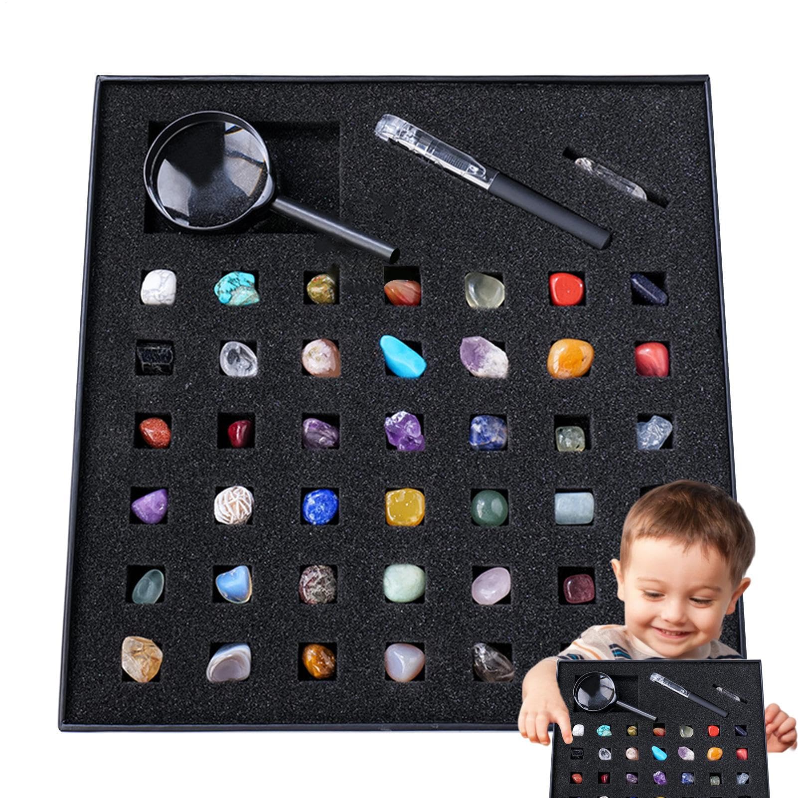 Kit Geologico Geologico per – Collezione di rocce minerali, scatola di campioni | STEM Educational Scientific Learning Set con Pietre preziose Natur