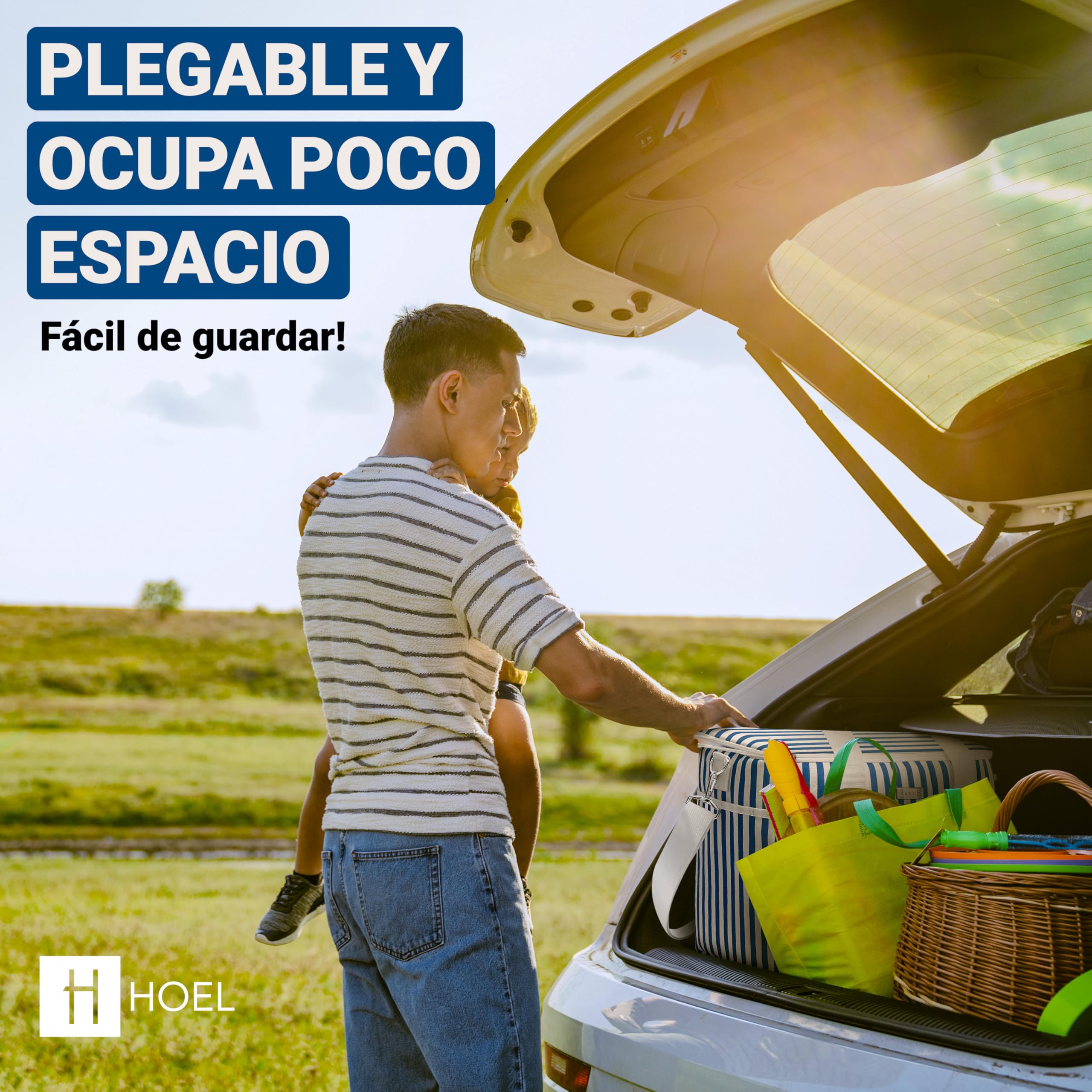 HOEL Bolsa isotérmica para comida y bebida, bolsa térmica aislada, bolsa de almuerzo impermeable y antigoteo, bolsa aislante para coche y compras, bolsa de pícnic, bolsa de almuerzo