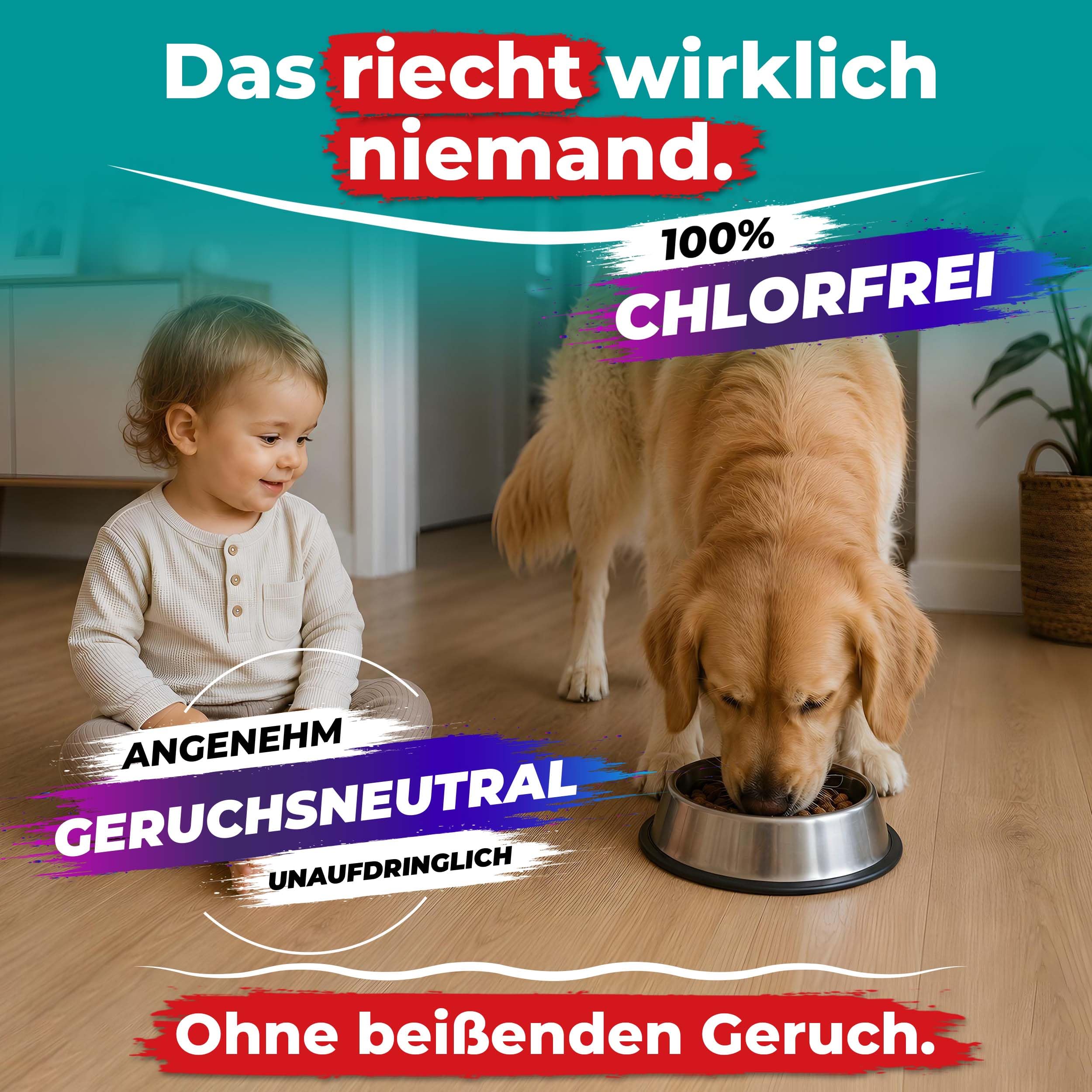 Schnelldesinfektion Spray Universal Flächen-Desinfektionsmittel für Flächen wirkt gegen Bakterien, Viren, Pilze, Keime Desinfektion von Oberflächen, 12L - 2x Sprüh