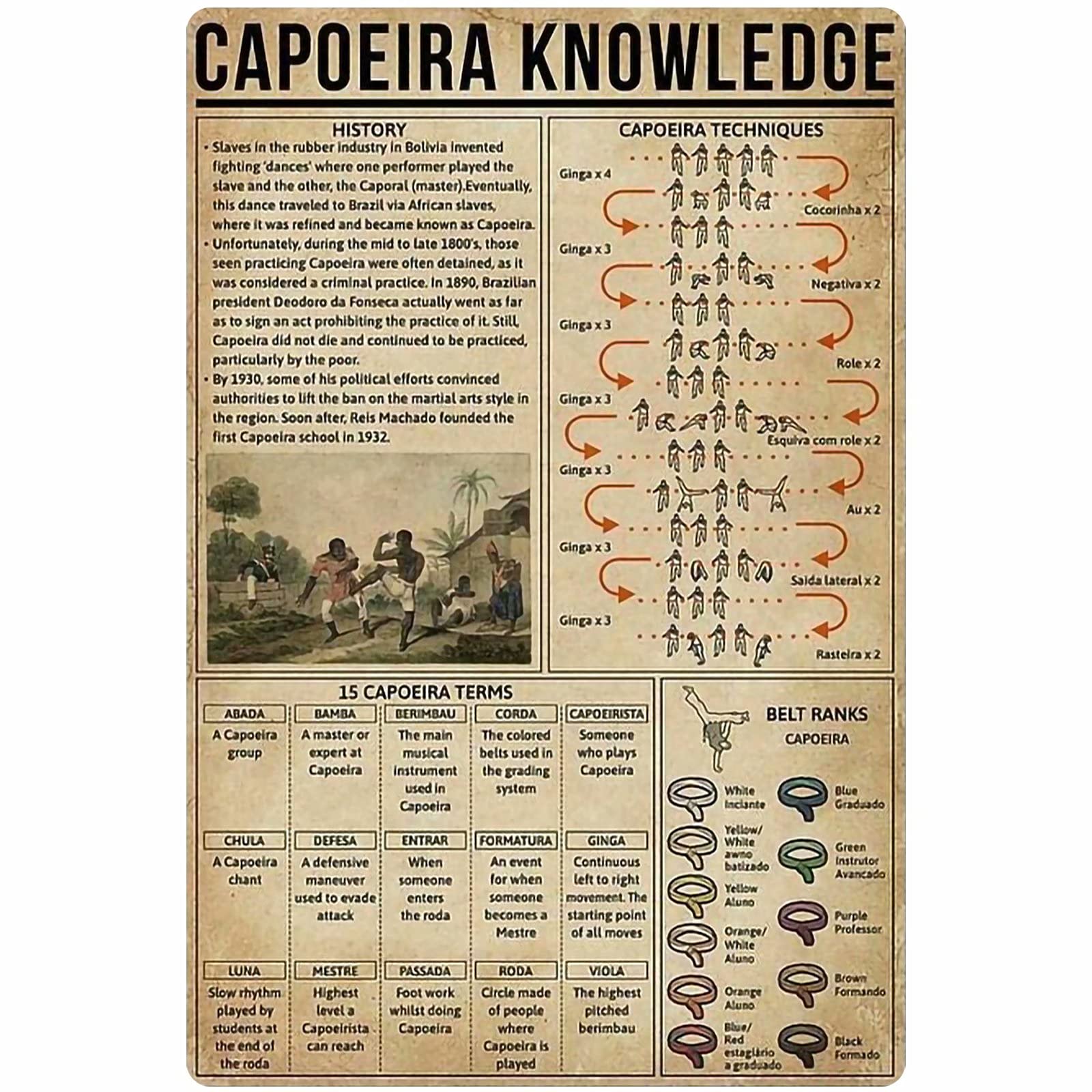 rayprint Capoeira Knowledge Metal Signs Brazilian War Dance Anatomy Posters Wall Decor Dance Lovers Home Decor Bedroom Decor Plaque 8x12 Inches