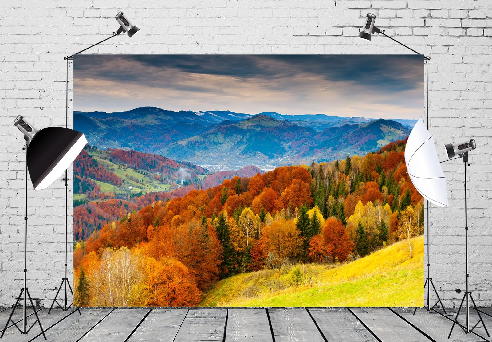 Amazon.com : Loccor Fabric 7x5ft Autumn Natural Scenery Backdrop
