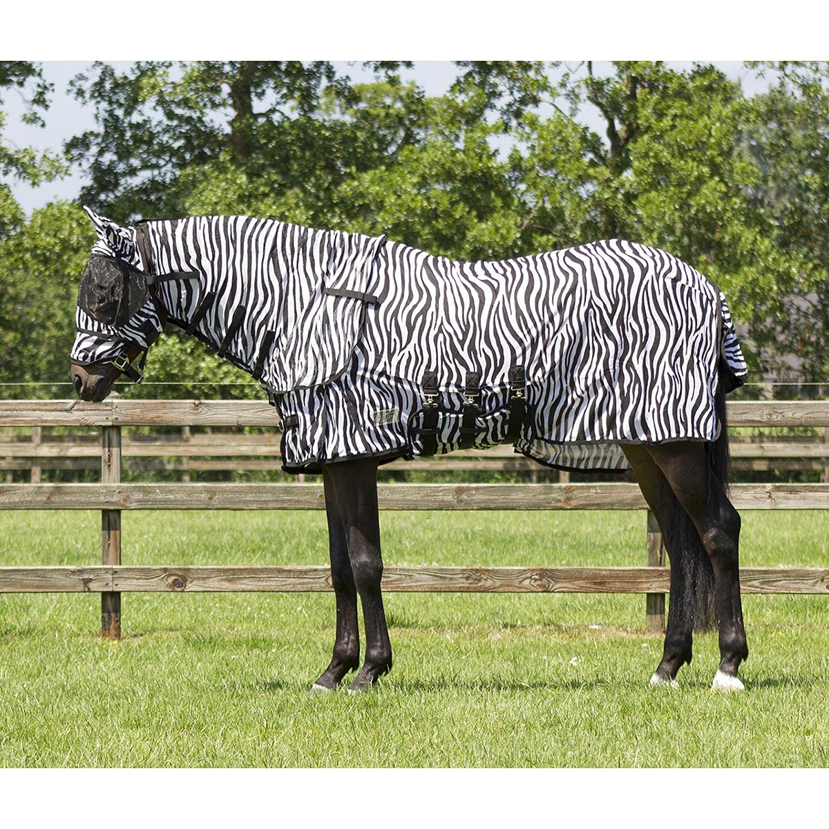 Couverture Anti Mouche avec Couvre-Cou et Bonnet pour Cheval QHP