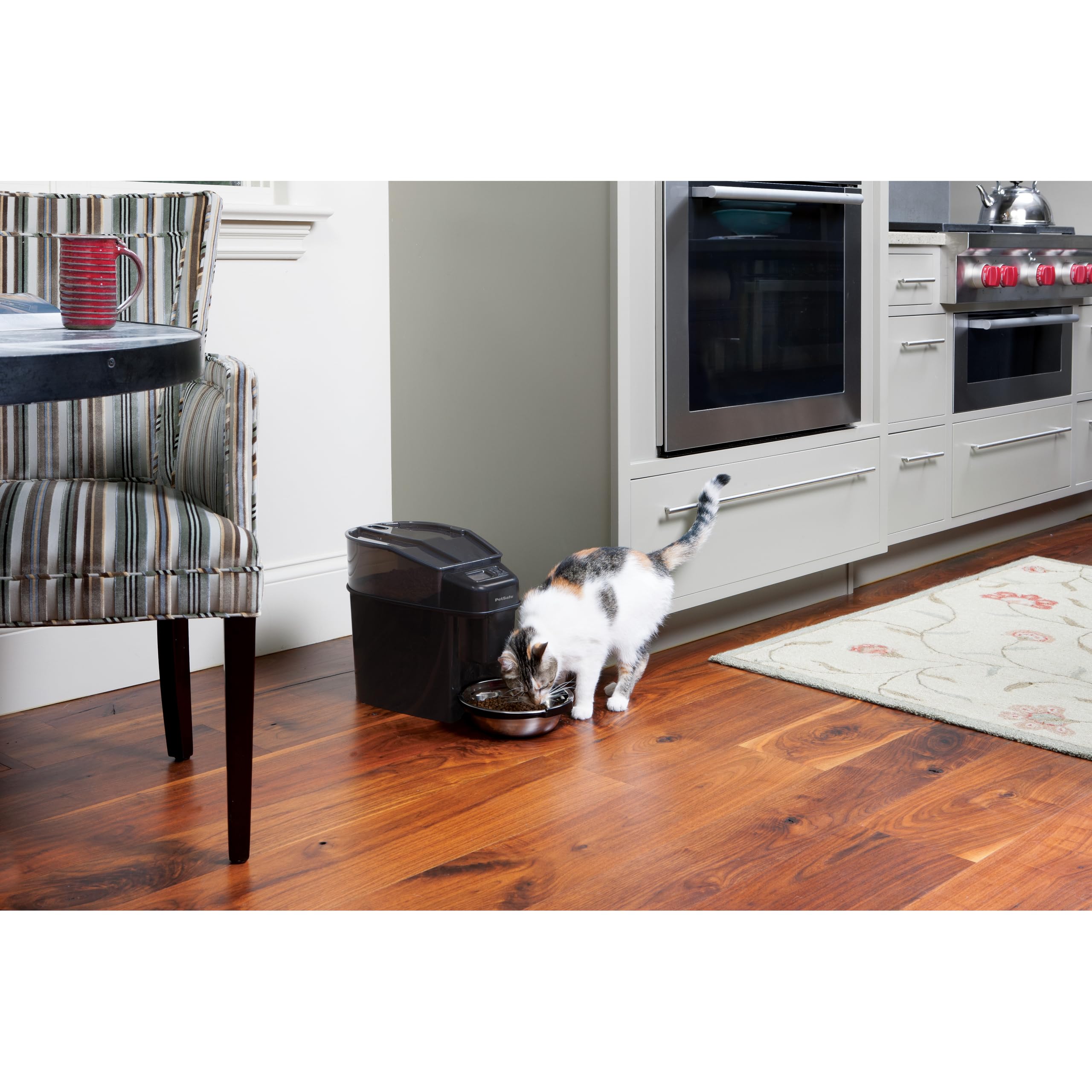 PetSafe Healthy Pet Simply Feed Comedero Automático | Control de Raciones y Programación, Capacidad 24 Tazas