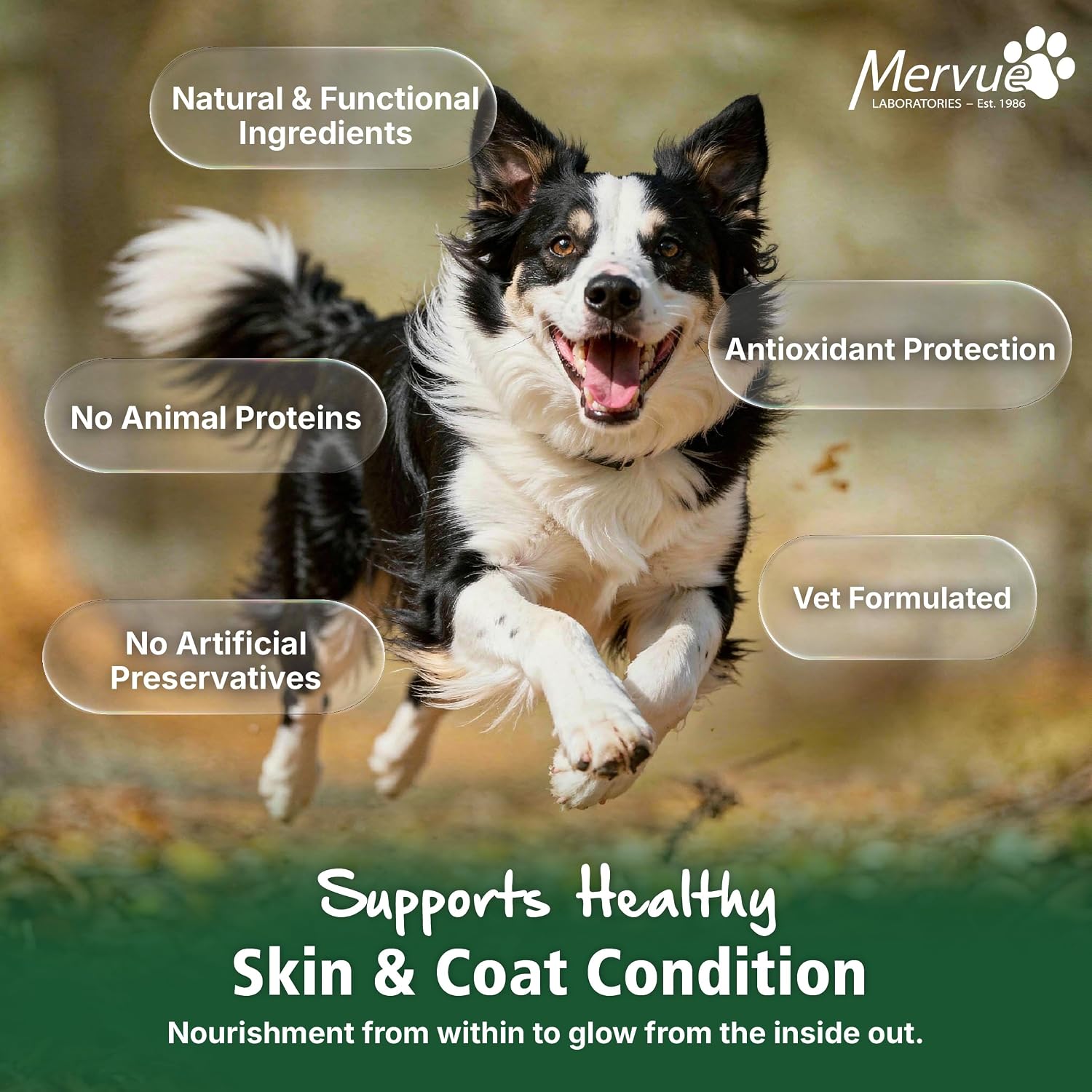 Mervue Skin and Coat Supplement for Dogs – Large Dog Omega 3 Supplement in Gel w/Zinc & Biotin to Support Gut Health – Tasty Daily Dog Multivitamin Packs for Normal & Sensitive Skins (30, 15ml Packs)