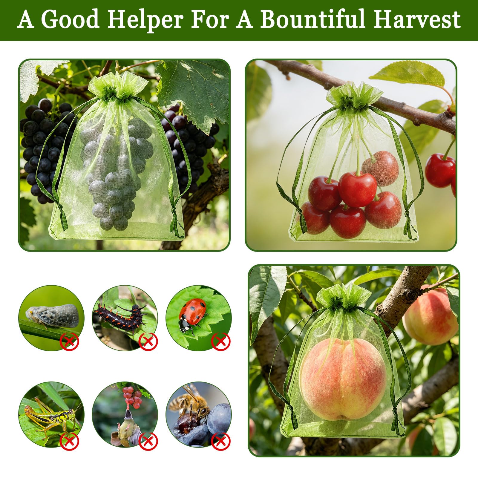 Sachets Protection Fruits 50 Pièces, Sac Protection Raisin Anti-Pucerons Oiseaux Guêpes 20x30 cm Vert