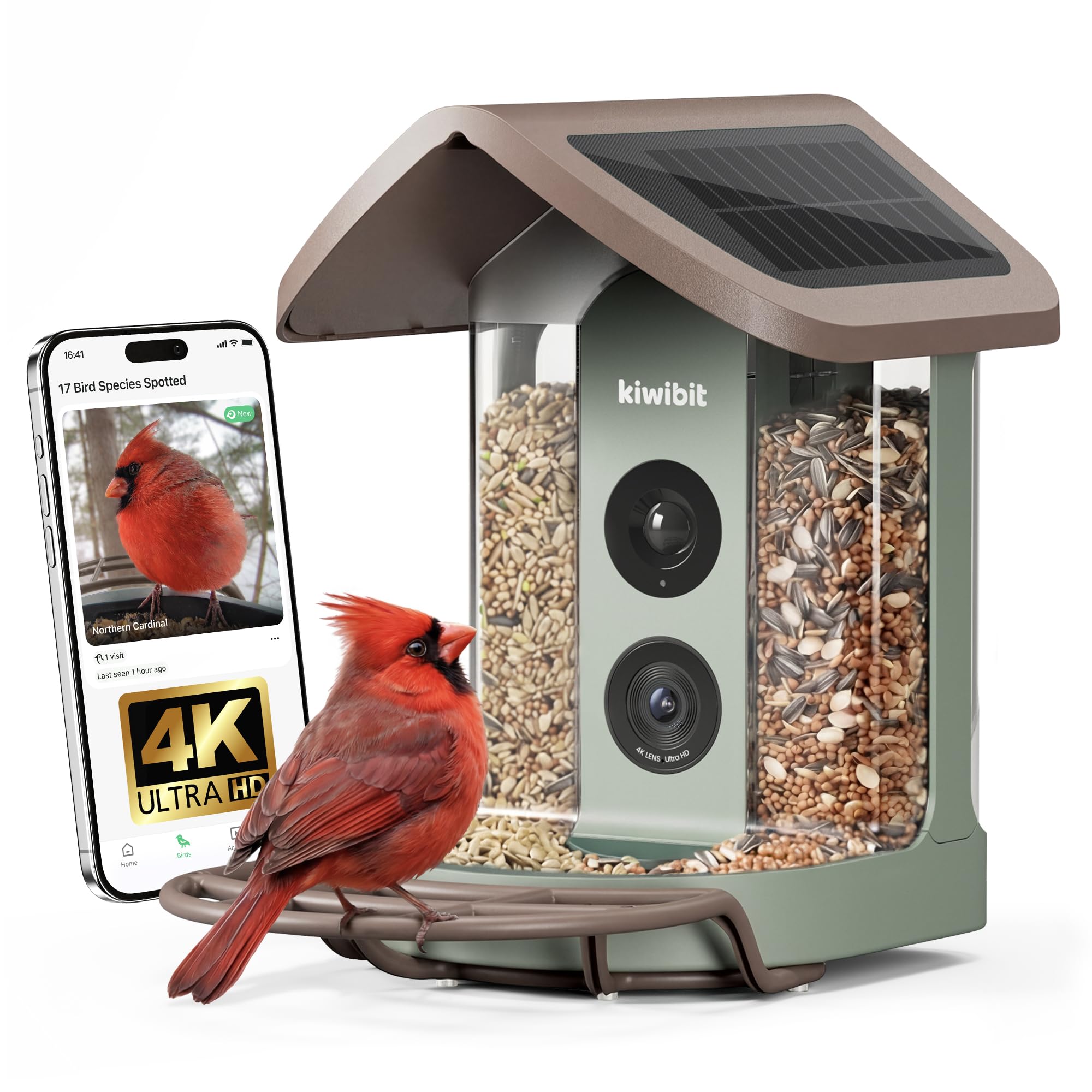 Kiwibit Solar Smart Bird Feeder with Camera