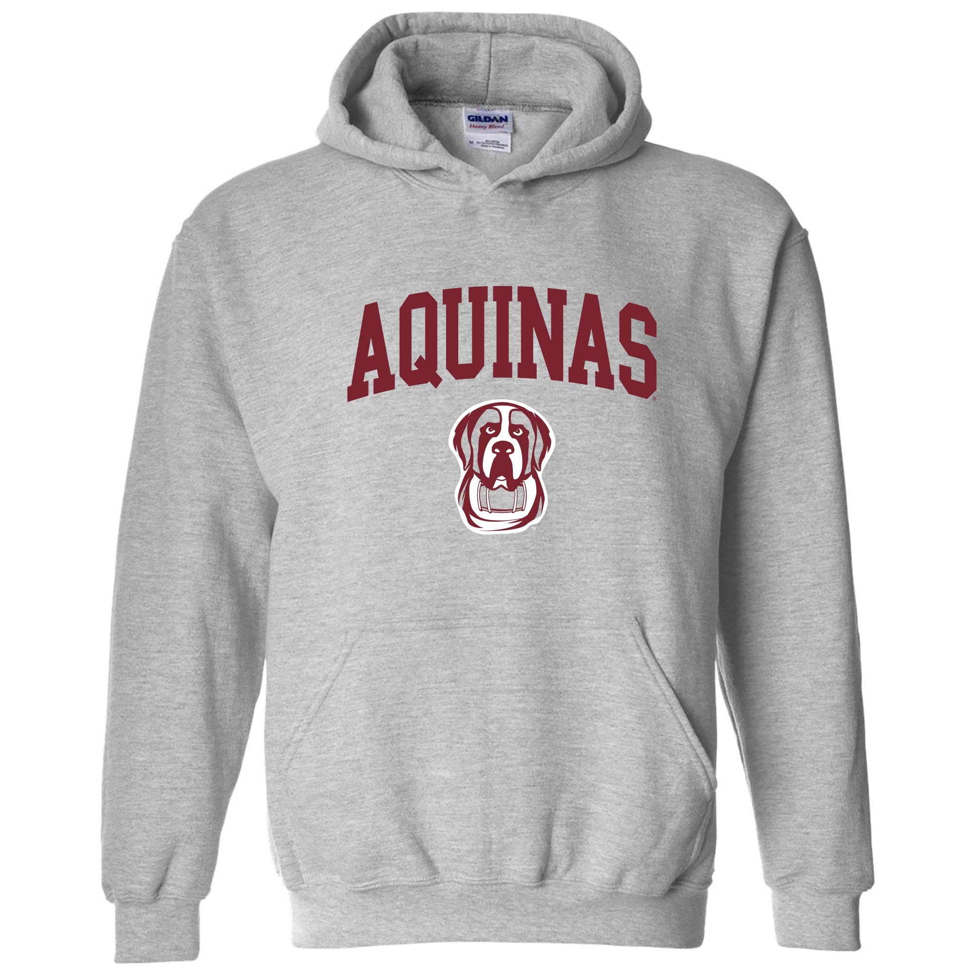 UGP Campus Apparel NCAA Officially licensed College - University Team Color Arch Logo Hoodie, Aquinas Saints Sport Grey, S โ image 1