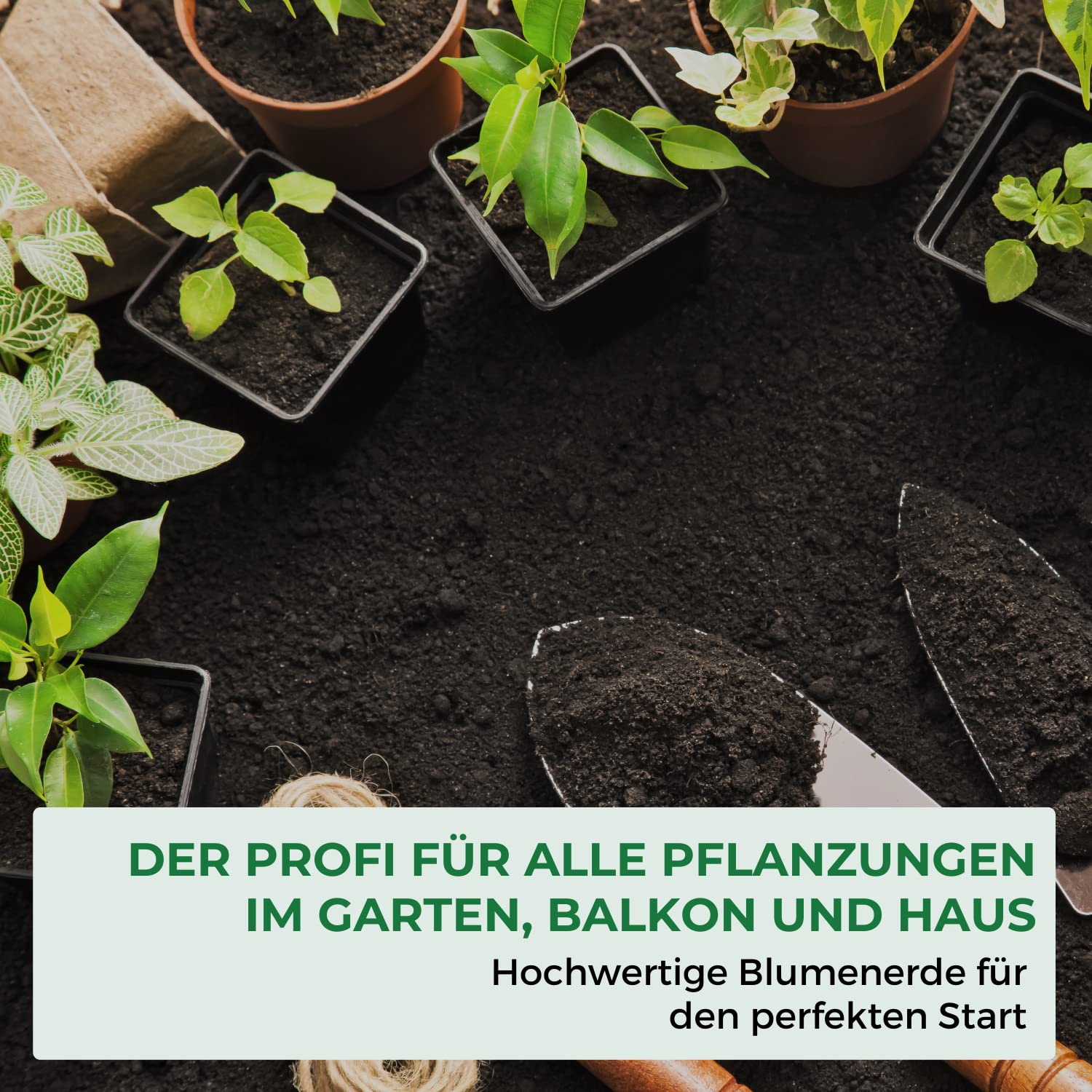 Allflor Blumenerde I 6 x 20 L I gebrauchsfertige Universalerde I hochwertige Erde im 20 Liter Beutel I Für alle Balkon- und Zimmerpflanzen geeignet I Enthält alle wichtigen Pflanzennährstoffe