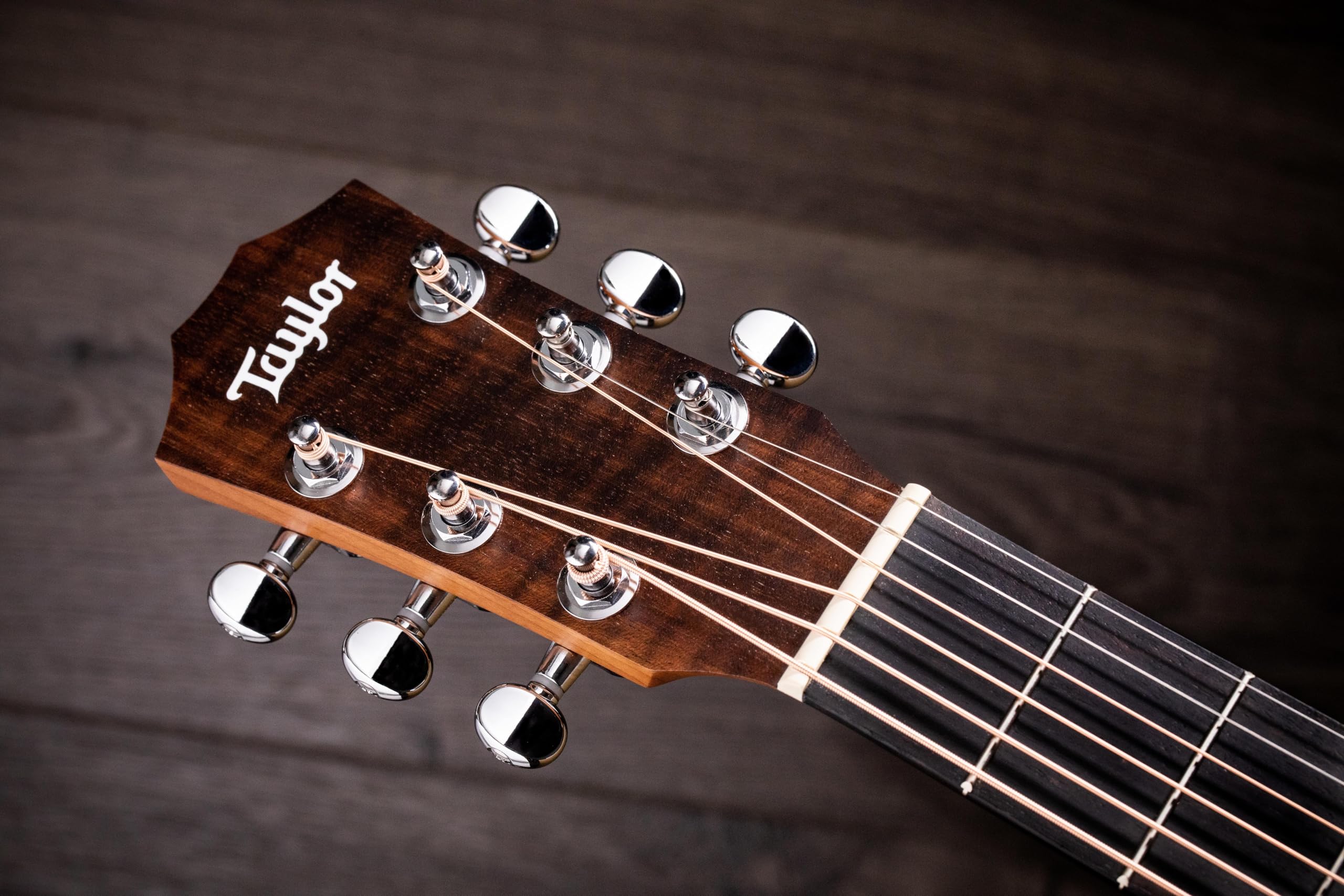 Amazon | Taylor Guitars テイラーギター TSBT2 シグネチャー Series