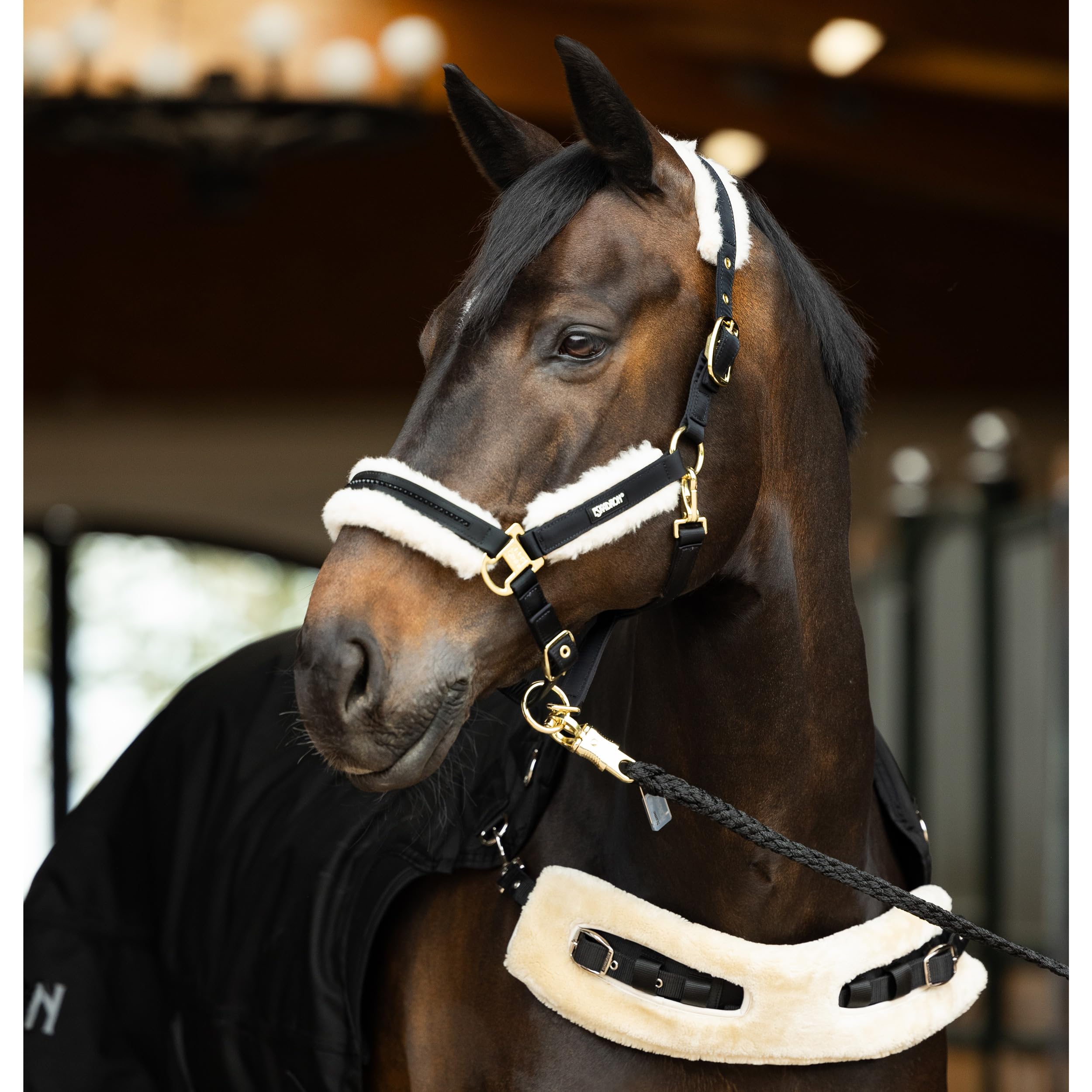 Eskadron Equiline Bradford Coperta da Passeggio Blu PE 2019