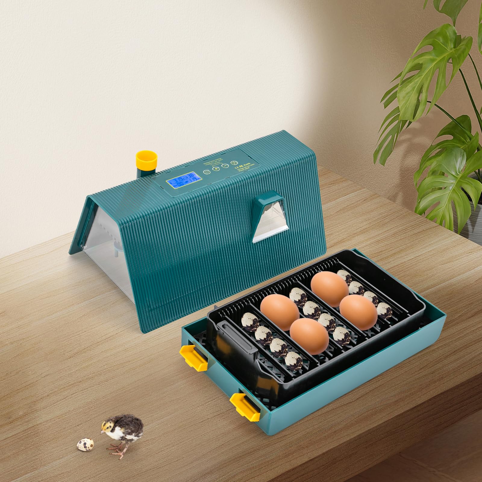 10 Huevos Incubadora de Huevos, Incubadora Automatica, Control de Temperatura y Humedad, para Gallinas, Patos, Codornices, Verde Incubadora Volteo Automatico 30-39.5℃, 29.7*17.6*17Cm