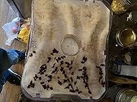 Review Image by Joshua Bright Joshua Bright