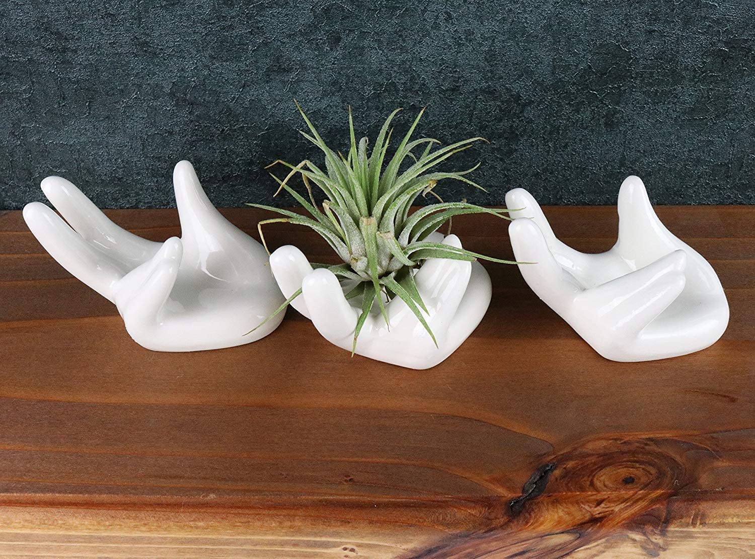 ourhommie 2 PCS Air Plant Holder Cute Ceramic Mini Hand Shape Stand Airplants Tillandsia Small Container Pot Plant Decorative Home Decor for Desk Table Shelf Window White - Image 3