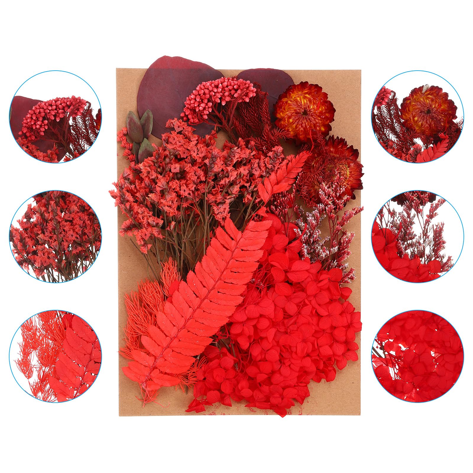 PATIKIL Pressed Flowers for Craft Bulk Dried Flowers Natural Pressed Flowers Leaves for Resin Soap Candle Scrapbooking DIY Gift Papermaking - Image 3