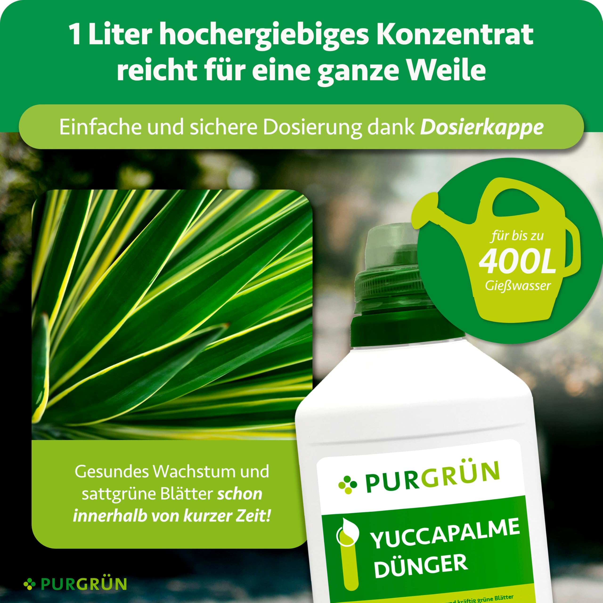 Yuccapalme-Dünger 1 Liter – Schnelles Wachstum dank Stickstoff – Premium-Flüssigdünger mit Spurennährstoffen – Stärkt die Widerstandskraft – Ergiebiges Konzentrat für 400 Liter Gießwasser